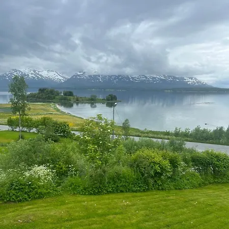 Кемпинг Nordlys Plass *