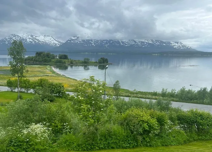 Кемпинг Nordlys Plass *